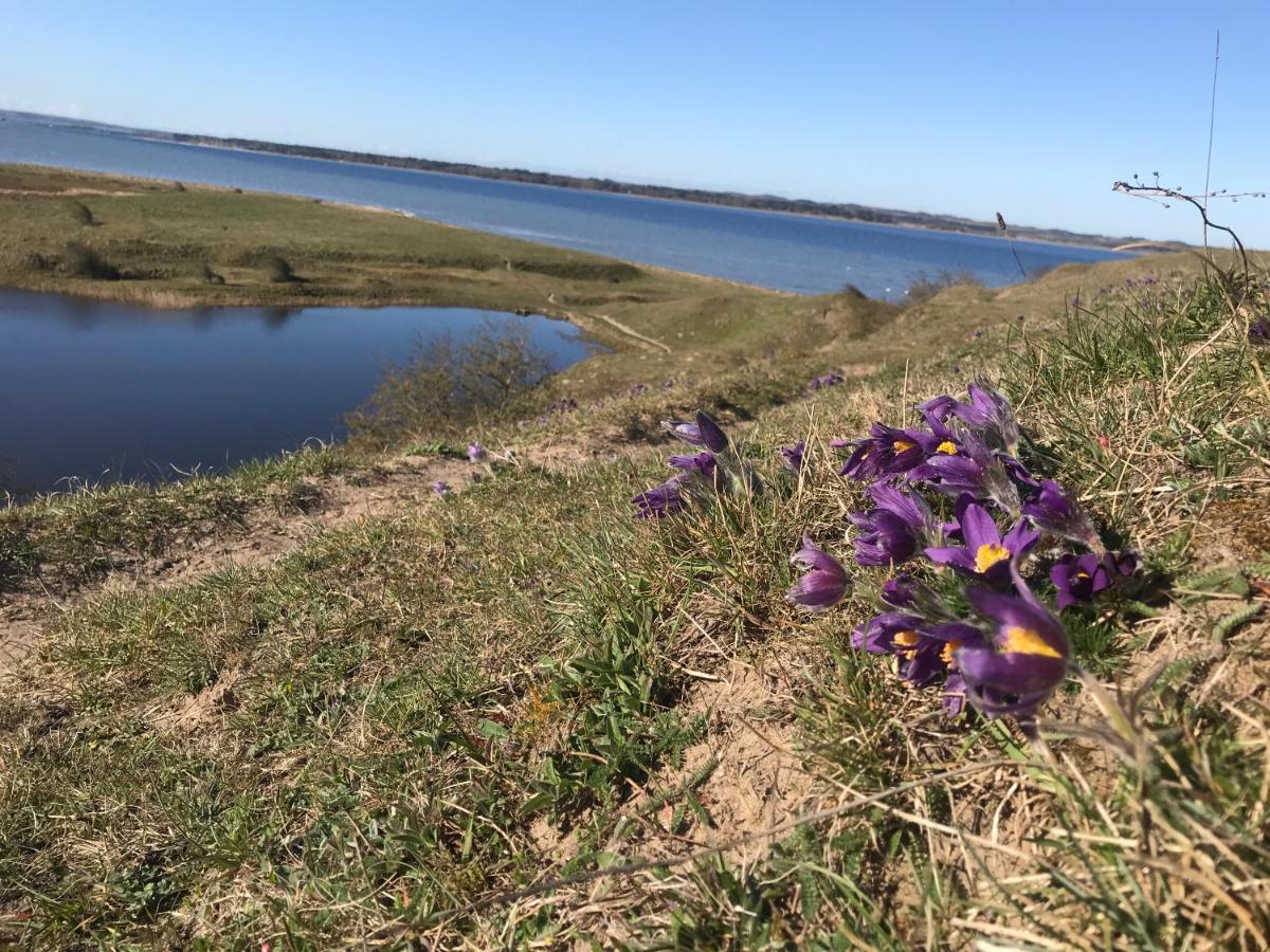 Porshus Ferielejlighed Sundstrup 外观 照片